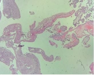 obsgyne_158_03.JPG