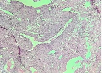 obsgyne_158_05.JPG