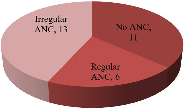 obstetrics_168_03.jpg