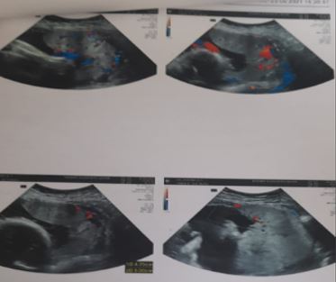 obstetrics_169_01.jpg