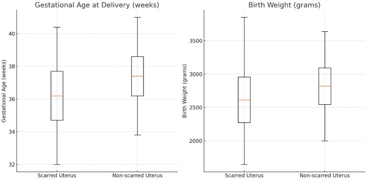 obstetrics_169_04.jpg