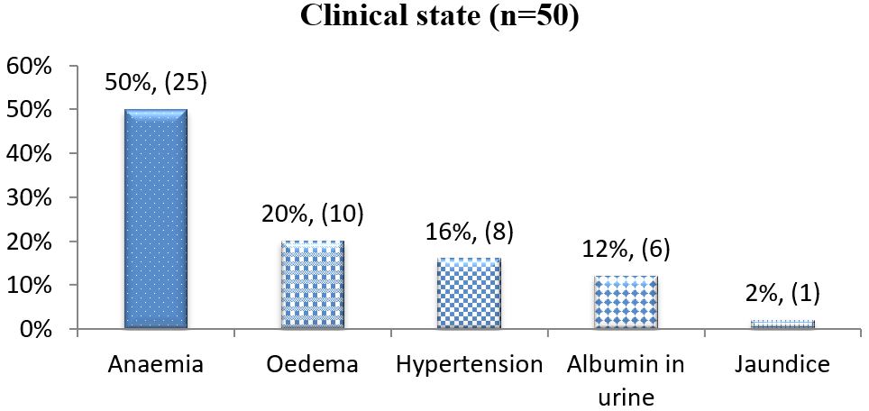 obstetrics_172_01.jpg
