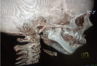 pedia_567_06.jpg