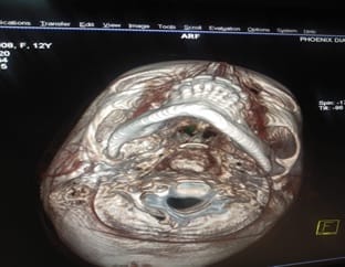 pedia_567_07.jpg
