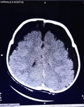 pedia_690_06.jpg