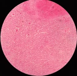 public_28_03.jpg