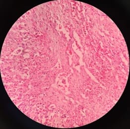 public_28_05.jpg