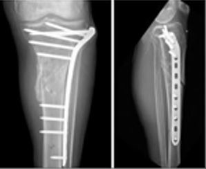 surgery_280_05.JPG