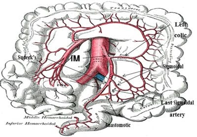 surgical_193_01.jpg